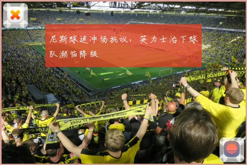 尼斯球迷冲场抗议，英力士治下球队濒临降级
