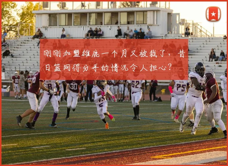 刚刚加盟雄鹿一个月又被裁了，昔日篮网得分手的情况令人担心？