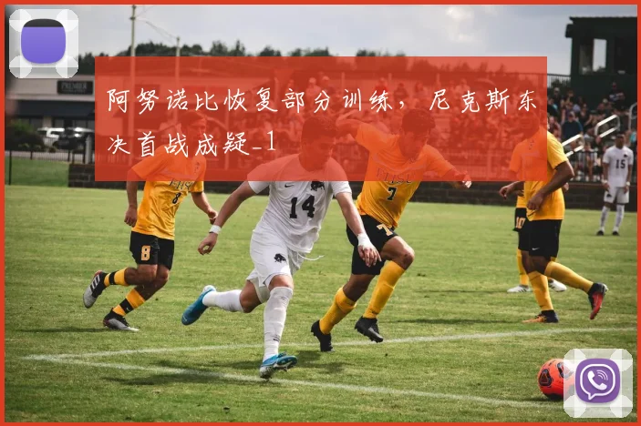 阿努诺比恢复部分训练，尼克斯东决首战成疑_1